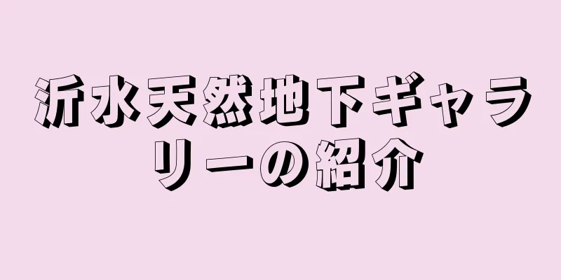 沂水天然地下ギャラリーの紹介