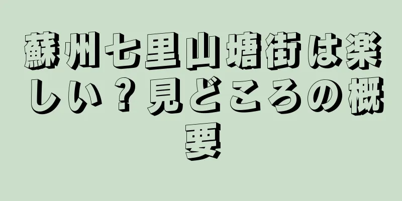 蘇州七里山塘街は楽しい？見どころの概要