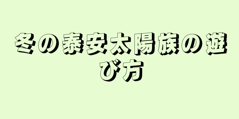 冬の泰安太陽族の遊び方