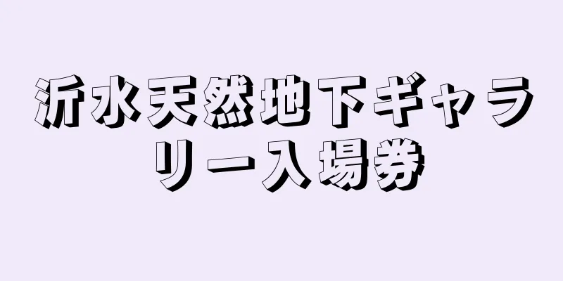 沂水天然地下ギャラリー入場券