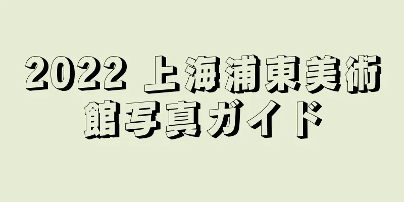 2022 上海浦東美術館写真ガイド