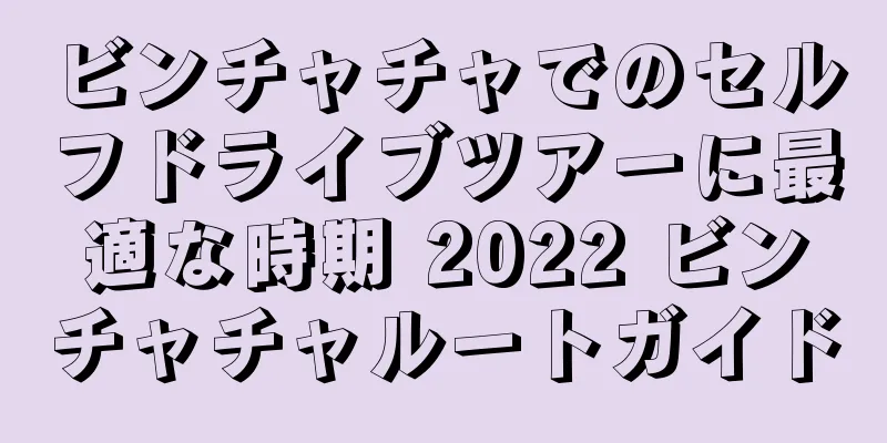 ビンチャチャでのセルフドライブツアーに最適な時期 2022 ビンチャチャルートガイド