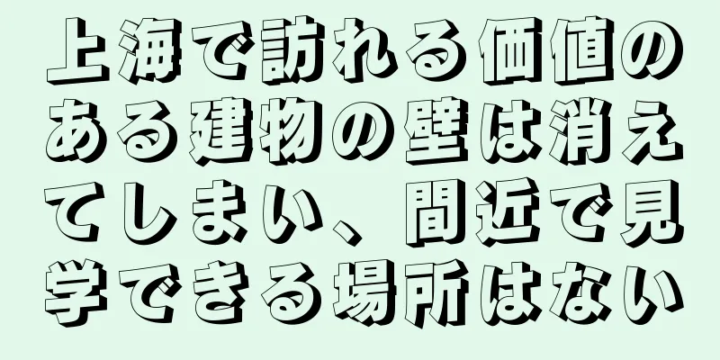 上海で訪れる価値のある建物の壁は消えてしまい、間近で見学できる場所はない