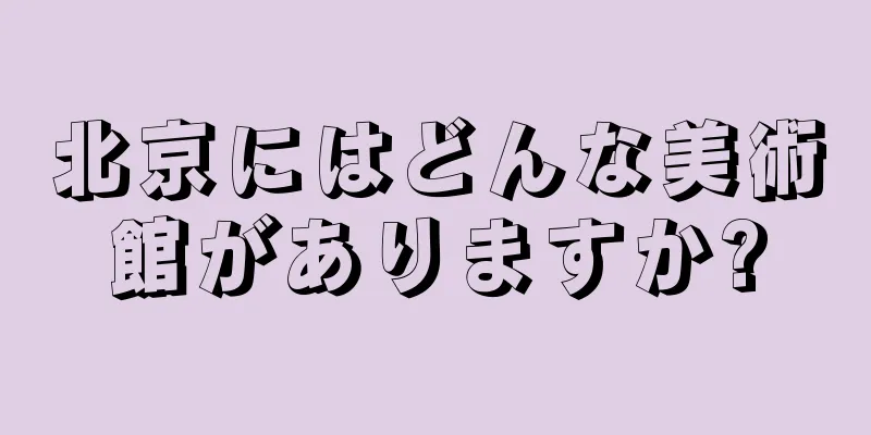 北京にはどんな美術館がありますか?
