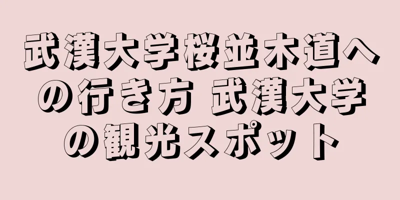 武漢大学桜並木道への行き方 武漢大学の観光スポット