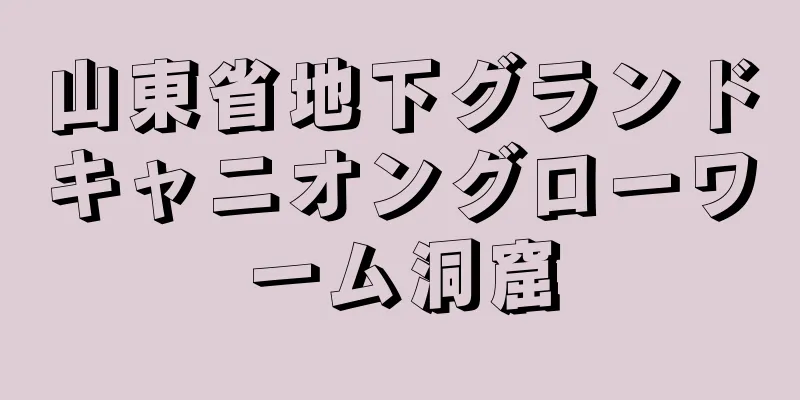 山東省地下グランドキャニオングローワーム洞窟