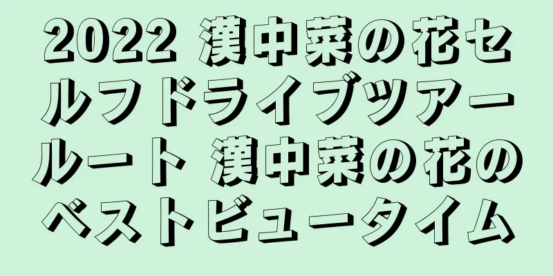 2022 漢中菜の花セルフドライブツアールート 漢中菜の花のベストビュータイム