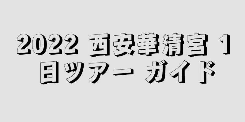 2022 西安華清宮 1 日ツアー ガイド