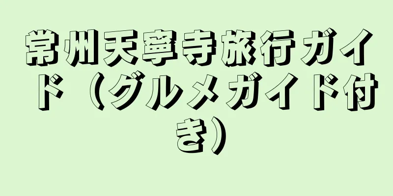 常州天寧寺旅行ガイド（グルメガイド付き）