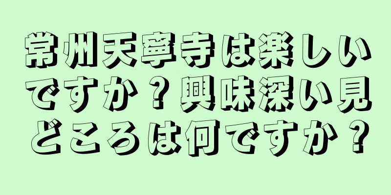 常州天寧寺は楽しいですか？興味深い見どころは何ですか？