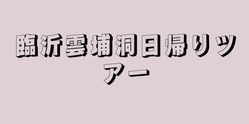 臨沂雲埔洞日帰りツアー