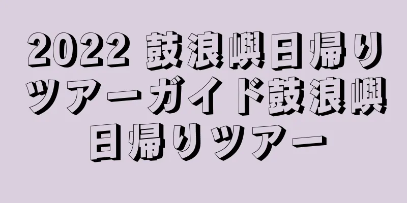 2022 鼓浪嶼日帰りツアーガイド鼓浪嶼日帰りツアー