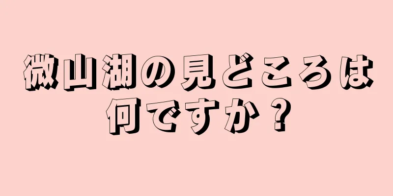 微山湖の見どころは何ですか？