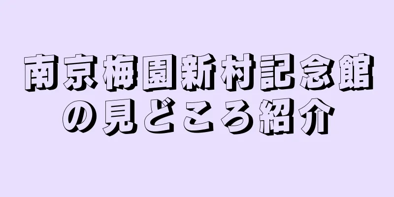 南京梅園新村記念館の見どころ紹介