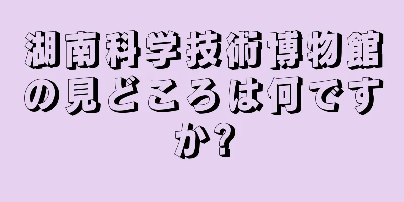 湖南科学技術博物館の見どころは何ですか?