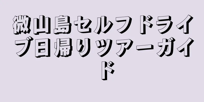 微山島セルフドライブ日帰りツアーガイド