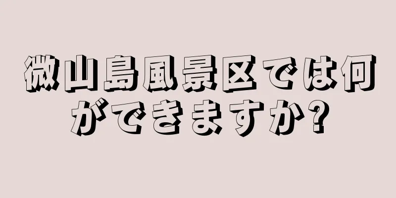微山島風景区では何ができますか?