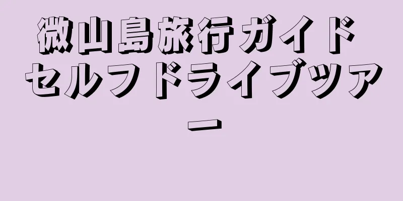 微山島旅行ガイド セルフドライブツアー