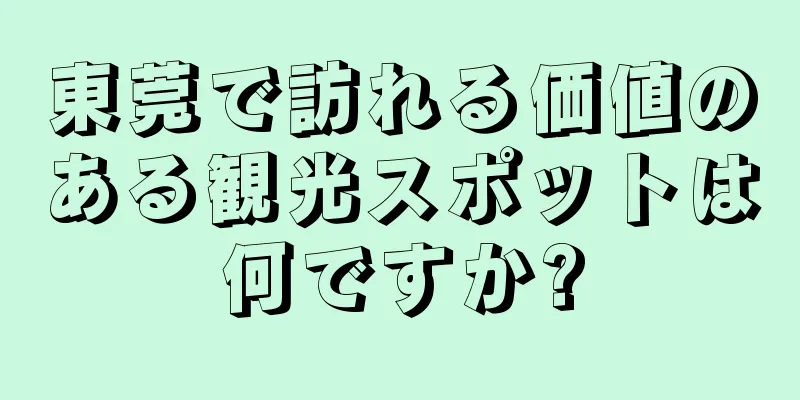 東莞で訪れる価値のある観光スポットは何ですか?