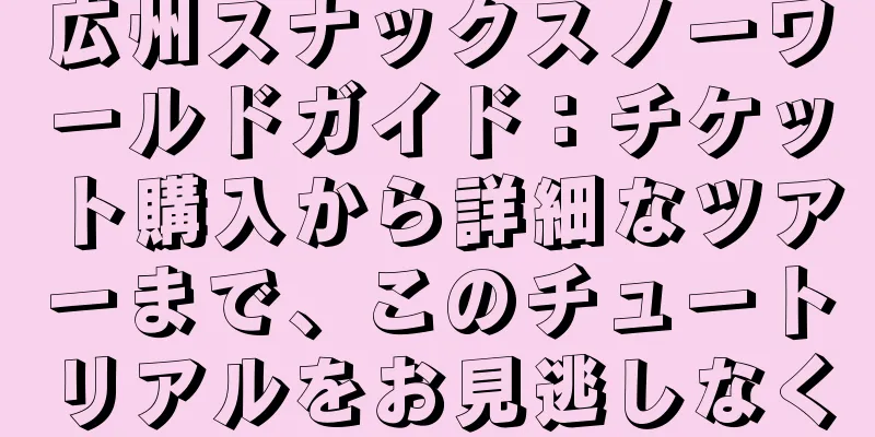 広州スナックスノーワールドガイド：チケット購入から詳細なツアーまで、このチュートリアルをお見逃しなく