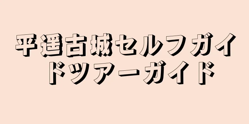 平遥古城セルフガイドツアーガイド