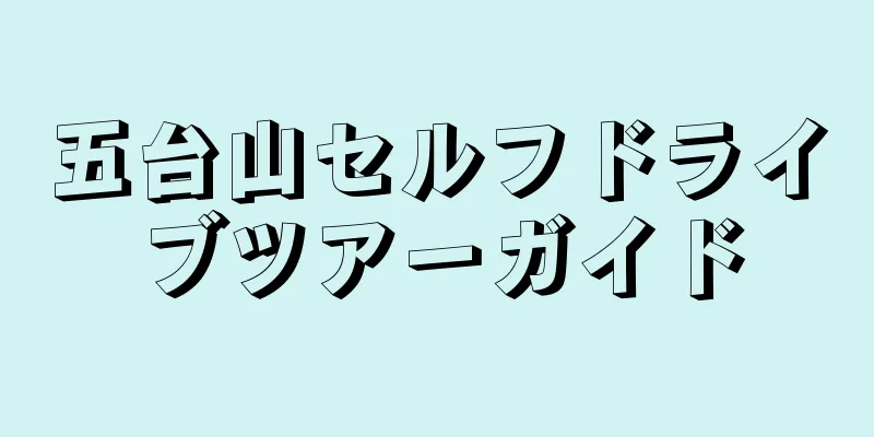 五台山セルフドライブツアーガイド