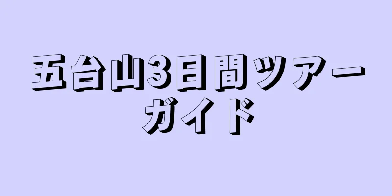 五台山3日間ツアーガイド