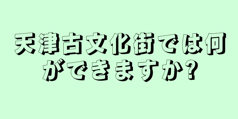 天津古文化街では何ができますか?