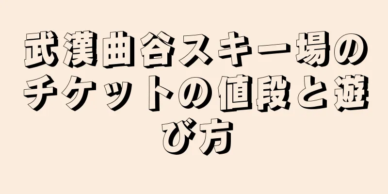 武漢曲谷スキー場のチケットの値段と遊び方