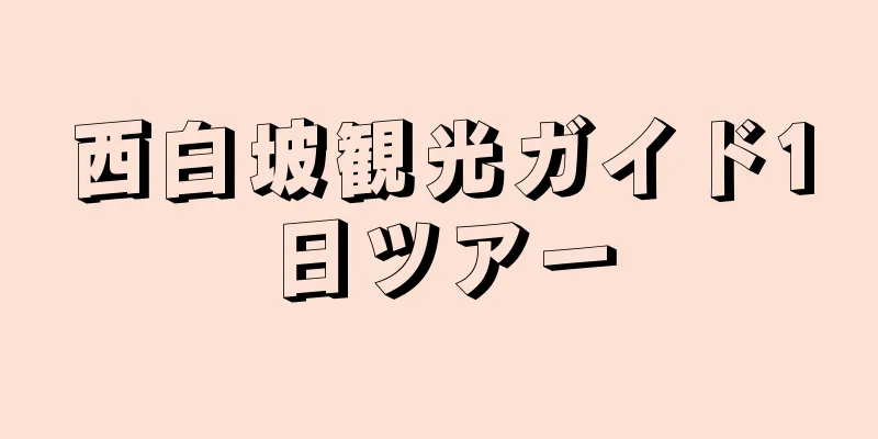西白坡観光ガイド1日ツアー