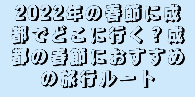 2022年の春節に成都でどこに行く？成都の春節におすすめの旅行ルート