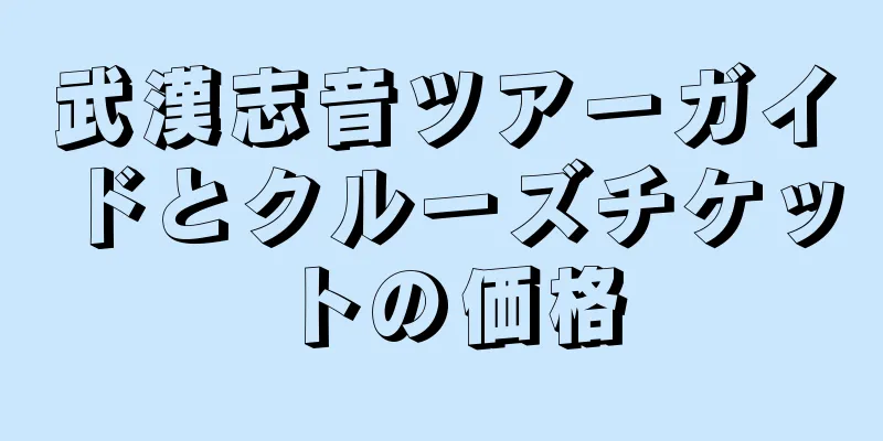 武漢志音ツアーガイドとクルーズチケットの価格