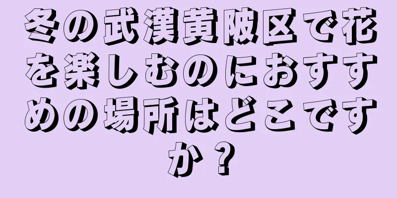 冬の武漢黄陂区で花を楽しむのにおすすめの場所はどこですか？
