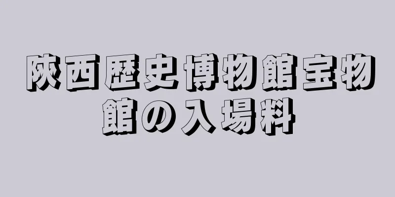 陝西歴史博物館宝物館の入場料