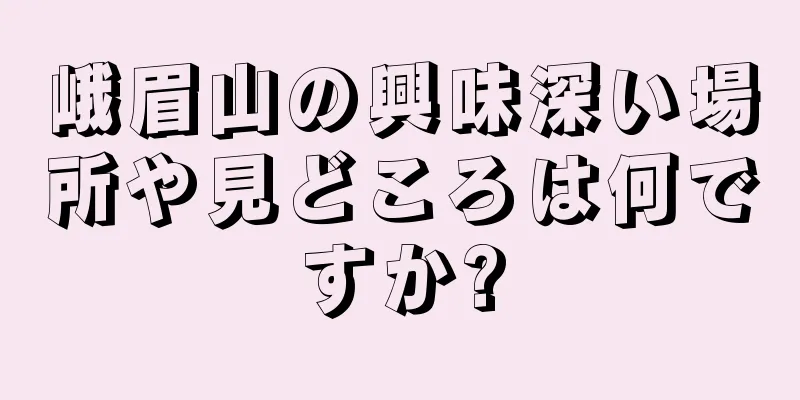 峨眉山の興味深い場所や見どころは何ですか?
