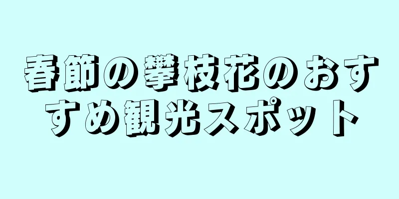 春節の攀枝花のおすすめ観光スポット