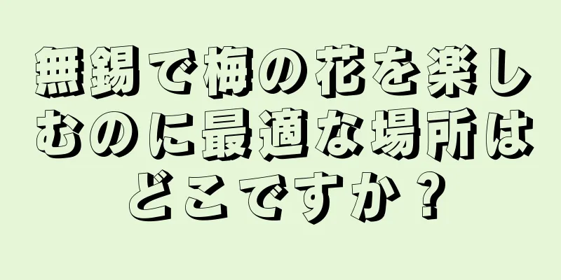 無錫で梅の花を楽しむのに最適な場所はどこですか？