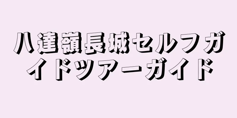 八達嶺長城セルフガイドツアーガイド