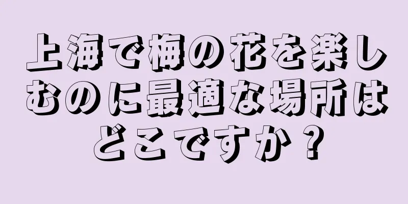 上海で梅の花を楽しむのに最適な場所はどこですか？