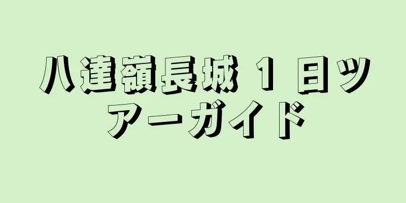 八達嶺長城 1 日ツアーガイド