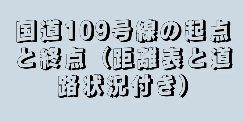 国道109号線の起点と終点（距離表と道路状況付き）