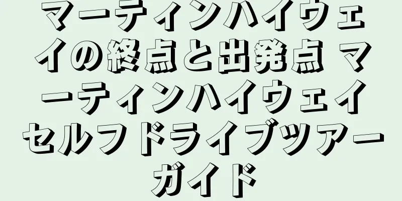 マーティンハイウェイの終点と出発点 マーティンハイウェイセルフドライブツアーガイド