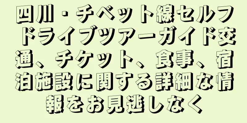 四川・チベット線セルフドライブツアーガイド交通、チケット、食事、宿泊施設に関する詳細な情報をお見逃しなく