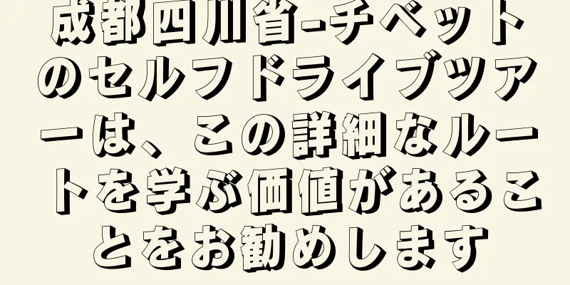成都四川省-チベットのセルフドライブツアーは、この詳細なルートを学ぶ価値があることをお勧めします