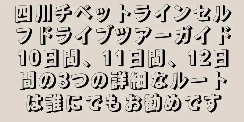四川チベットラインセルフドライブツアーガイド10日間、11日間、12日間の3つの詳細なルートは誰にでもお勧めです