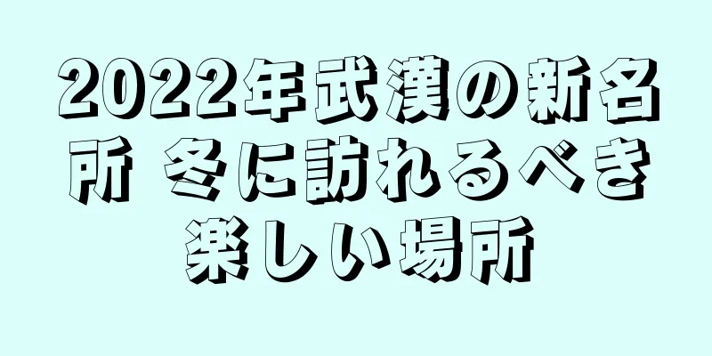 2022年武漢の新名所 冬に訪れるべき楽しい場所