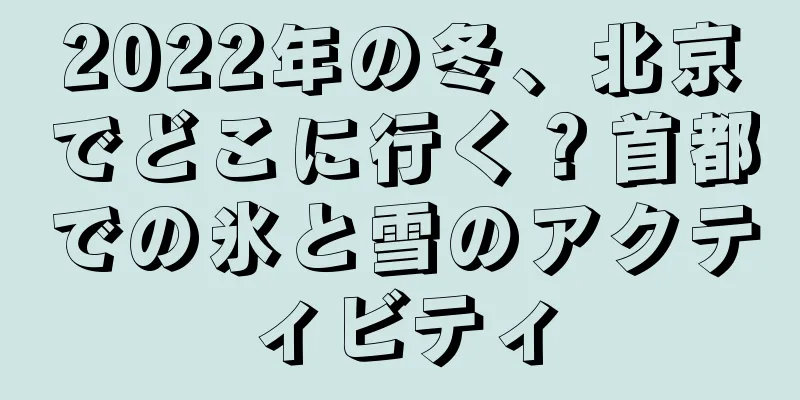 2022年の冬、北京でどこに行く？首都での氷と雪のアクティビティ