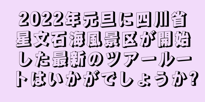 2022年元旦に四川省星文石海風景区が開始した最新のツアールートはいかがでしょうか?