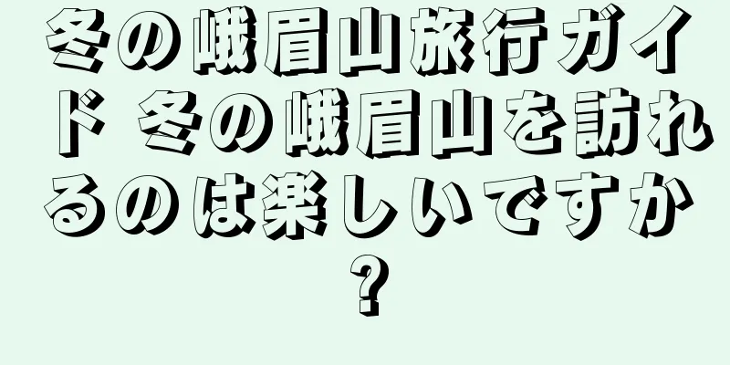 冬の峨眉山旅行ガイド 冬の峨眉山を訪れるのは楽しいですか?
