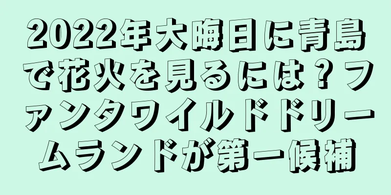 2022年大晦日に青島で花火を見るには？ファンタワイルドドリームランドが第一候補